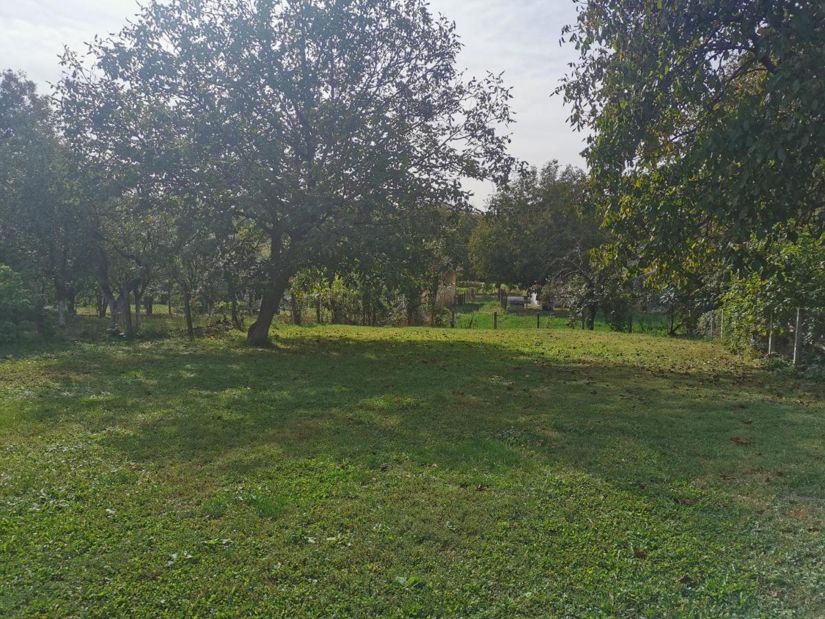 Apartmani La Grande Motte เวิร์ดนิค ภายนอก รูปภาพ