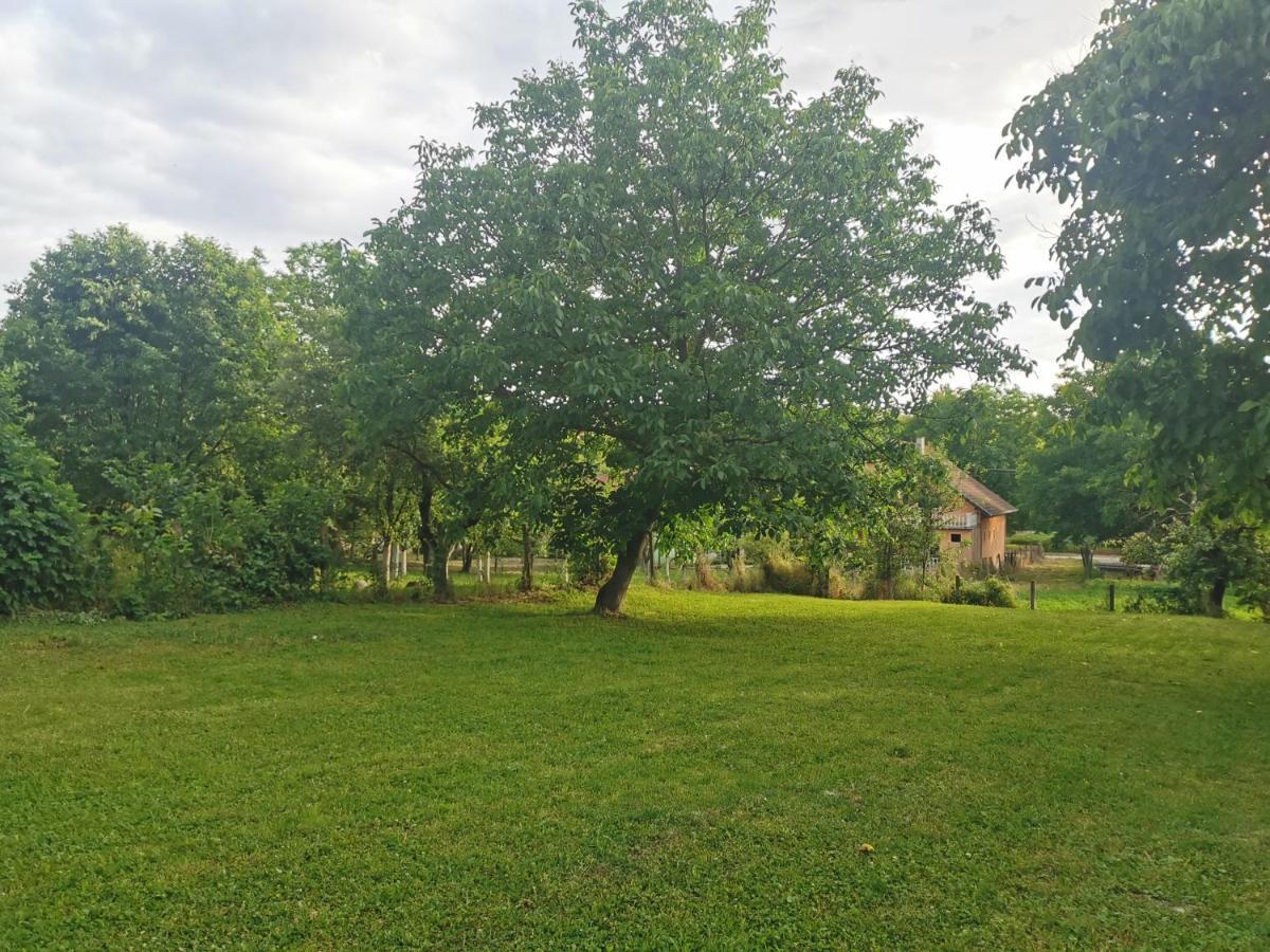Apartmani La Grande Motte เวิร์ดนิค ภายนอก รูปภาพ